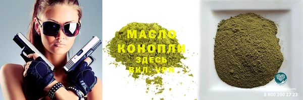 амф Верхний Тагил