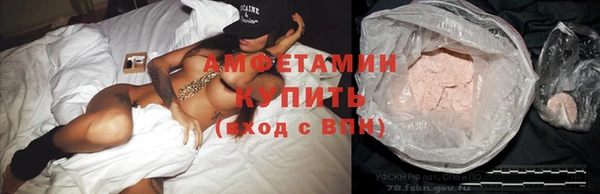 амф Верхний Тагил