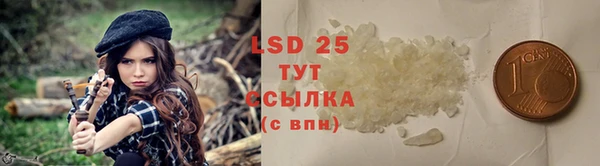 амф Верхний Тагил