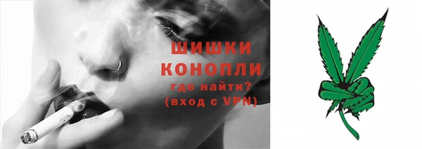дурь Верея