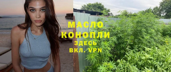 амф Верхний Тагил