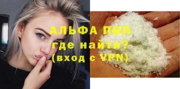 амф Верхний Тагил