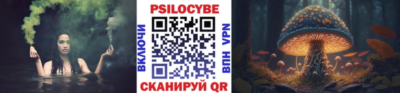 darknet официальный сайт  Людиново  Псилоцибиновые грибы Psilocybe  закладка 
